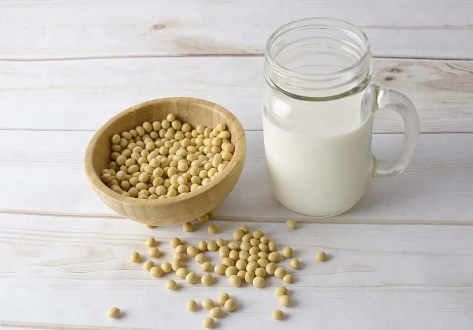 豆制品素鸡翅豆皮等热量高吗,各种豆制品热量排行榜