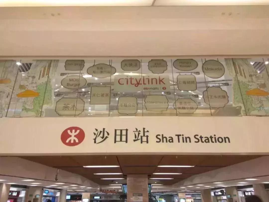 香港购年货攻略,香港年货扫码攻略视频