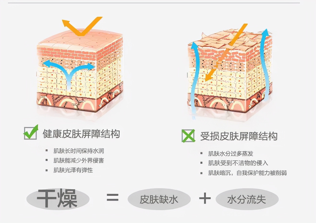 4款换季必备“面霜”！高保湿还水润，修复敏感肌，不再泛红刺痛