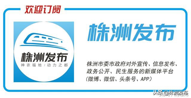 快递不见了？“买买买”之后，万一快递丢了怎么办？小布给你来支招