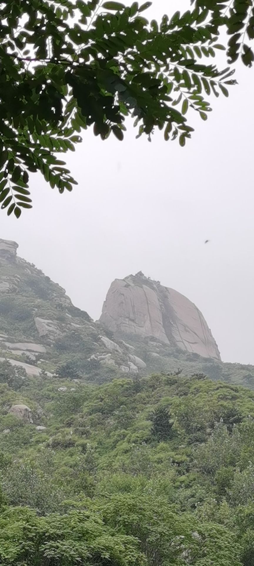 龙口东小庙,龙口南山小庙