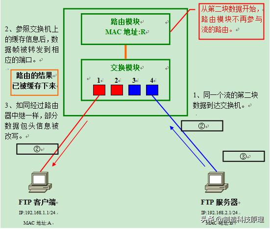 网络vlan基础知识,运用vlan技术建立无线网络的知识