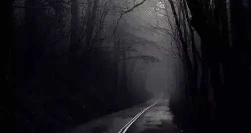 科学家梦境都是真实的,科学家提出梦境是真实的