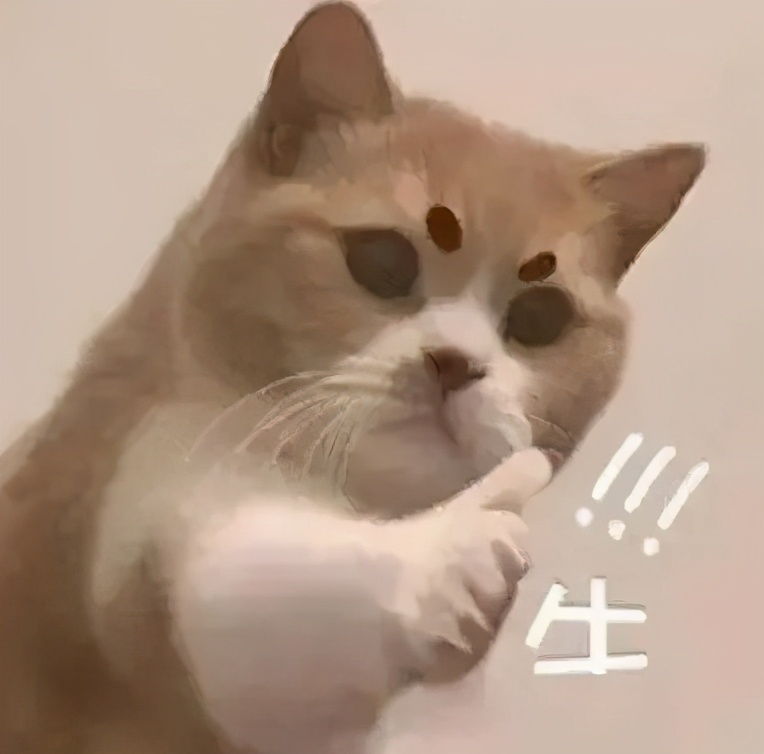 次卧全榻榻米房间设计,小次卧全屋榻榻米效果图大全