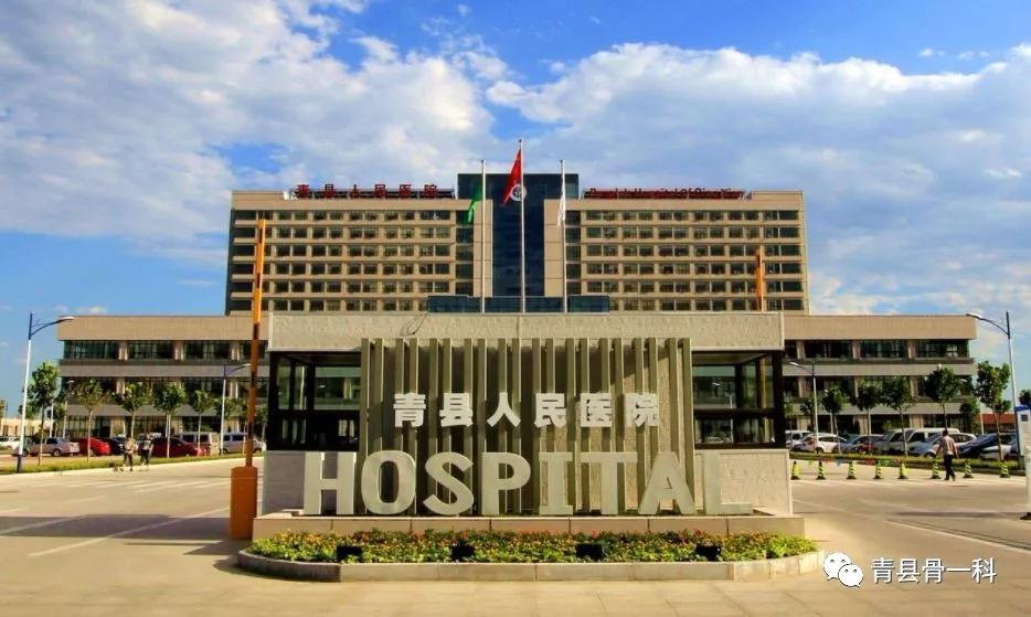 脊柱的原理及构成,脊柱的基础知识和构成