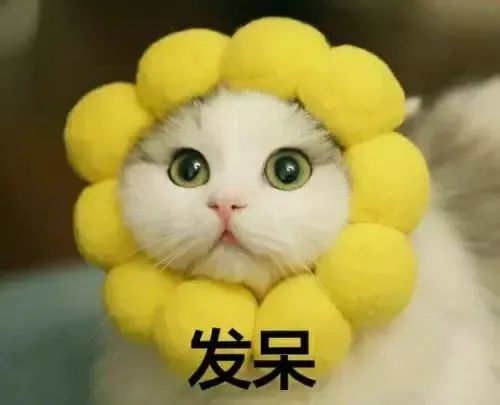 猫屎猫尿这么臭怎么办,猫在猫砂盆里大便臭吗