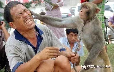命运真会捉弄人,命运挺会捉弄人