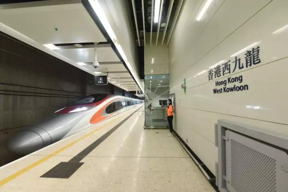 香港购年货攻略,香港年货扫码攻略视频