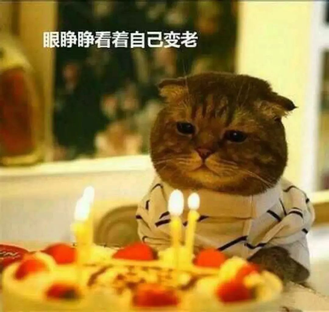 干皮娇韵诗双萃和红腰子哪个好,娇韵诗双萃精华跟红腰子哪个更好
