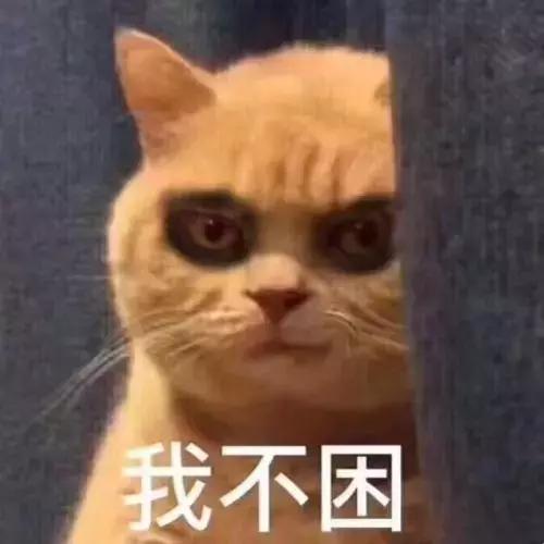 上课困了有没有什么好办法,上课困成狗怎么办