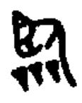 甲骨学堂——临深履薄