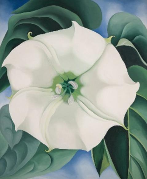 时代洪流中的女艺术家三｜乔治亚·欧姬芙：用绘画推倒性别壁垒