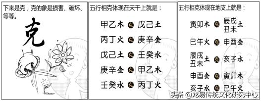 关于天干地支的基本知识,天干地支的共同特性与规则细化