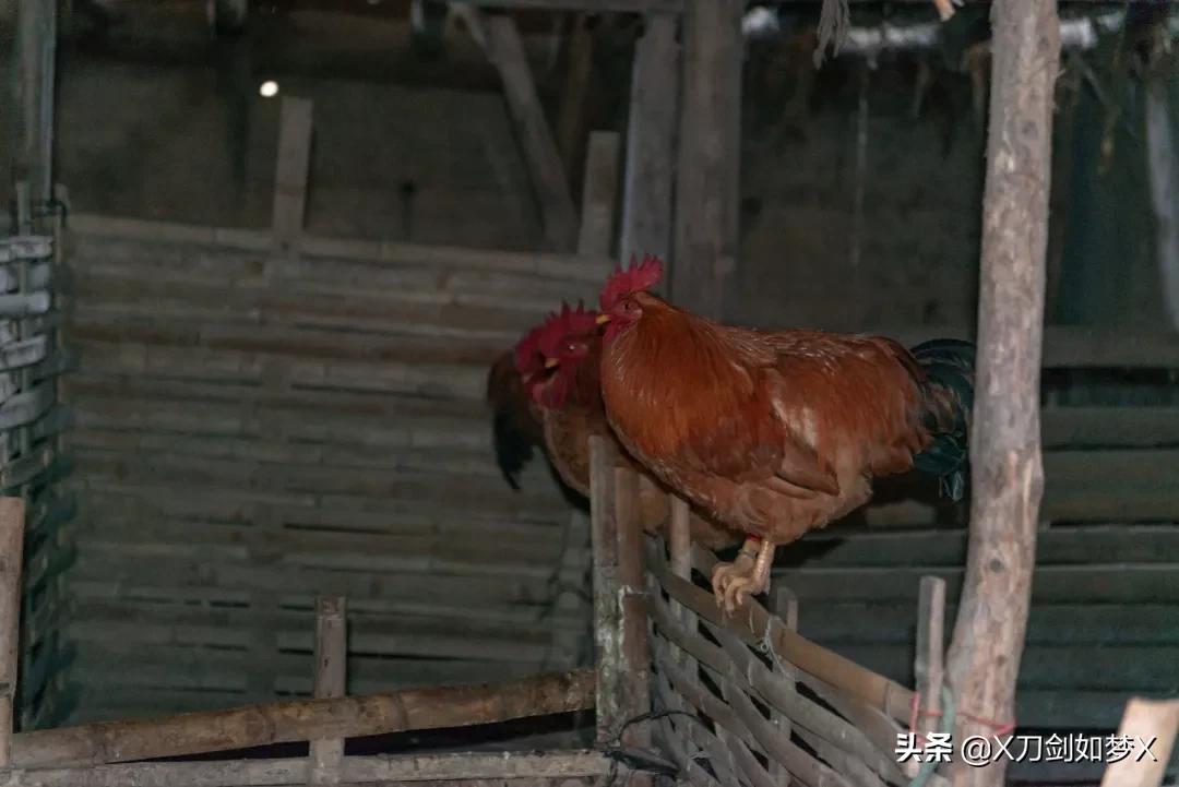 沪外游集：“华东香格里拉”-公盂村春季徒步