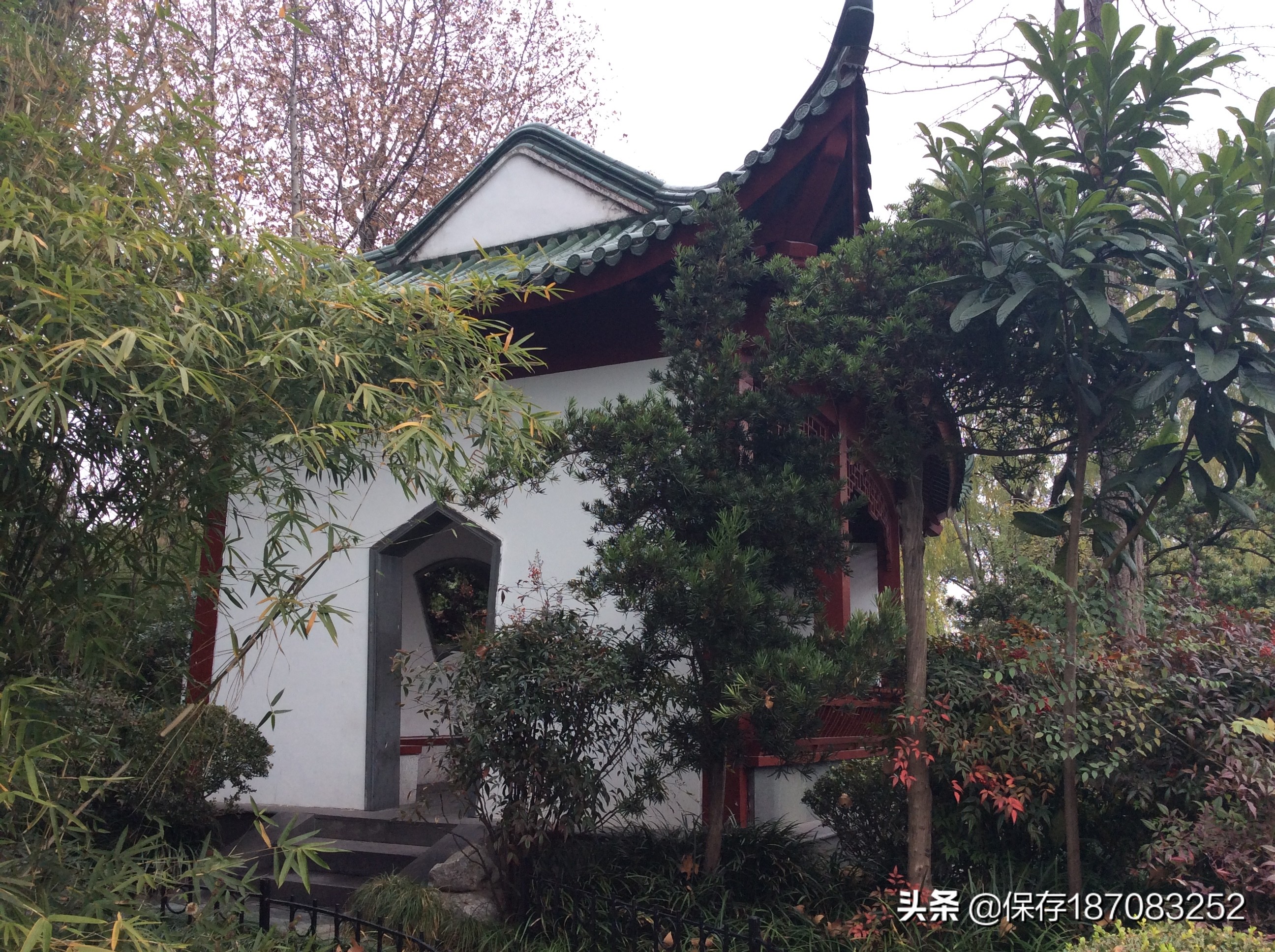 上海普陀山公园,普陀区长风公园在哪