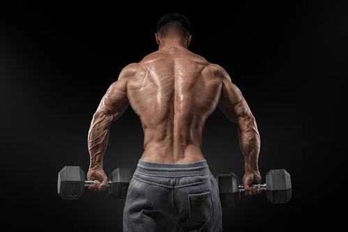 男士哑铃在家锻炼视频,瘦子在家哑铃锻炼全身肌肉