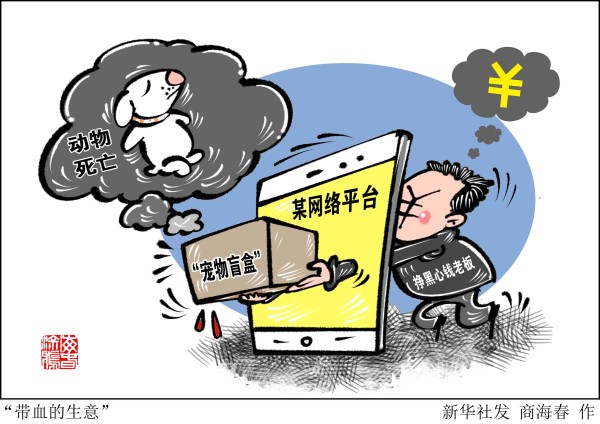 “宠物盲盒”再次秘密上架：血染的快递，是宠爱还是*杀虐**