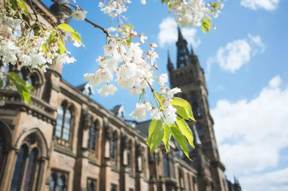 在英国陪读家长可陪几年,英国陪读可以找工作吗