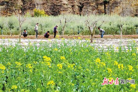 【决战决胜脱贫攻坚】书写决战脱贫攻坚的春天答卷——甘肃全力推动脱贫攻坚任务落实纪实