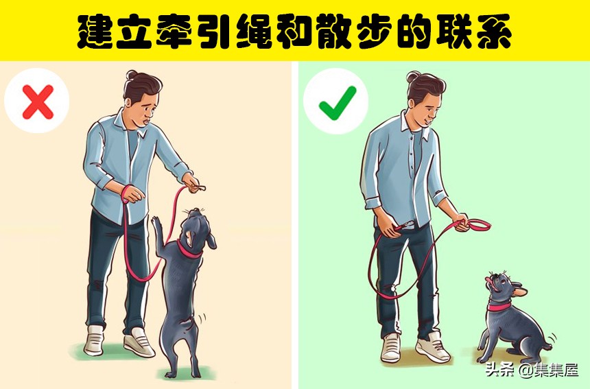 狗狗总是撑开牵引绳,狗狗老是挣脱脖套背带怎么办