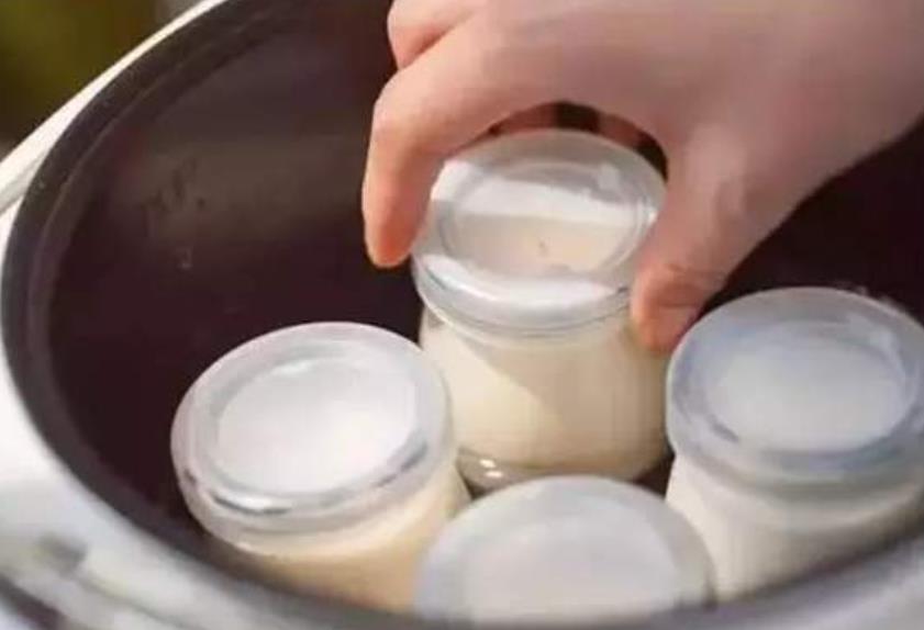 牛奶喝不完别浪费，教你做酸奶，不用酸奶机，电饭锅就可以做