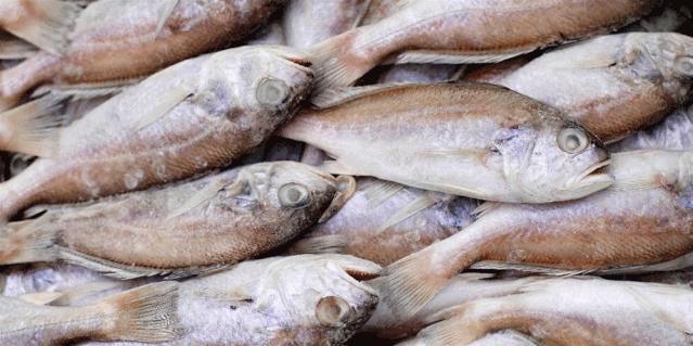 生鲜速达！诸城冷链物流渤海智慧易购生鲜商城正式上线