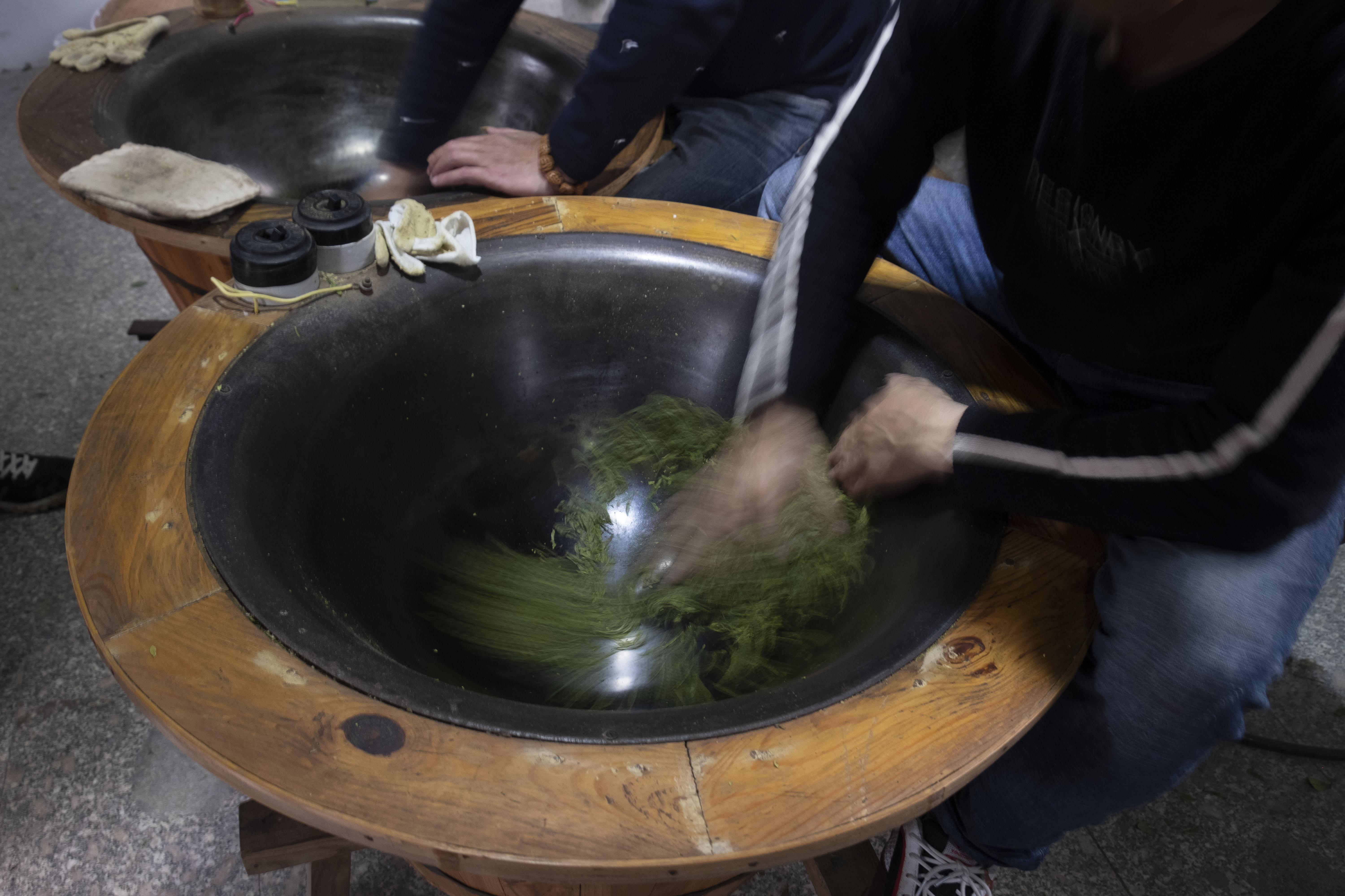 西湖龙井春茶季,龙井茶西湖明前春茶