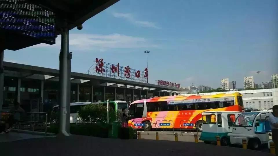 香港购年货攻略,香港年货扫码攻略视频