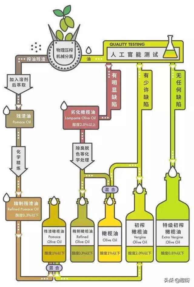 橄榄油怎么挑选品牌,橄榄油挑选技巧