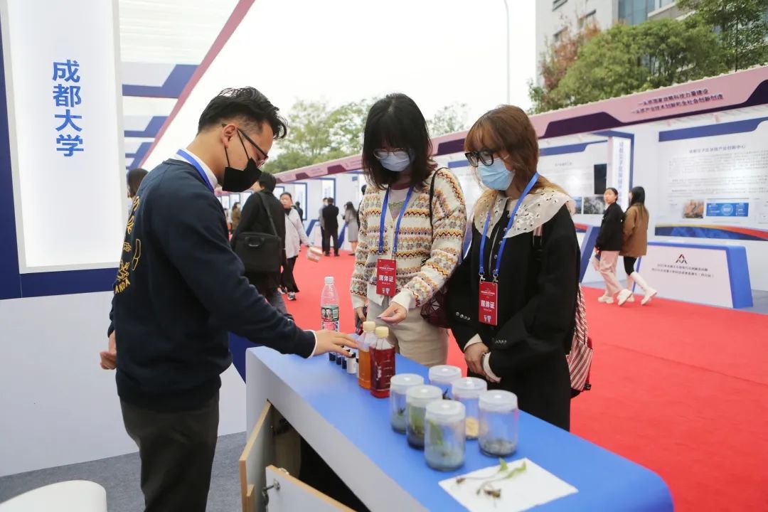 双创周主会场为什么选成都,四川成都双创周主会场