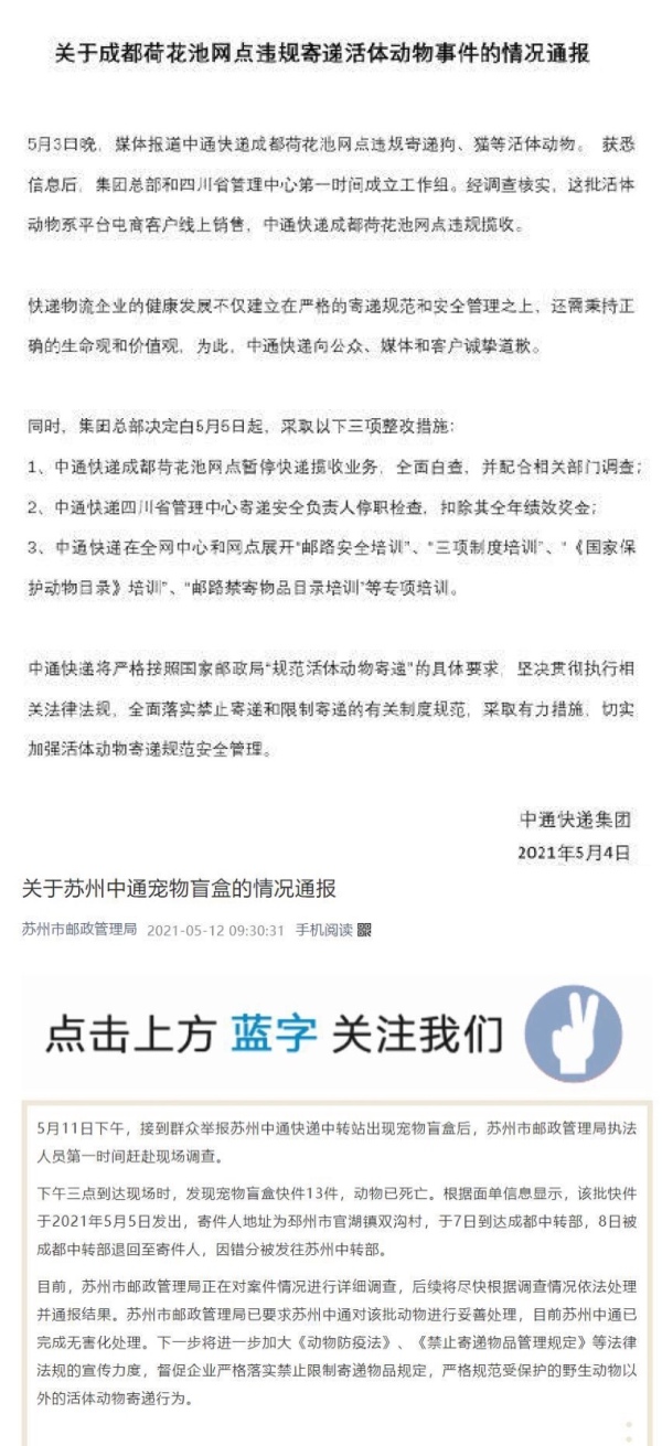 “宠物盲盒”再次秘密上架：血染的快递，是宠爱还是*杀虐**