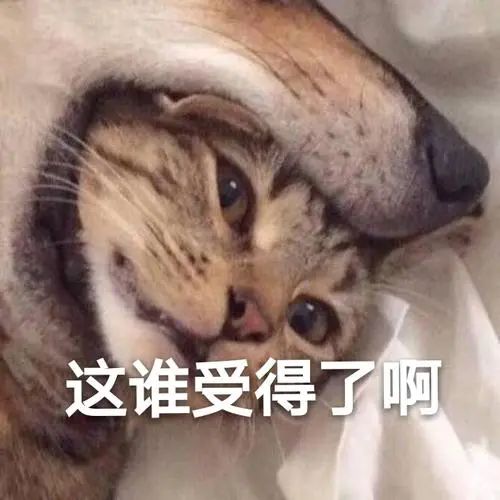 被腾讯打败的腾讯,虾米乐曲正式关停了吗