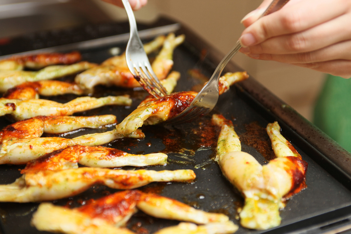 法国美食肉菜,十种最好吃的肉菜