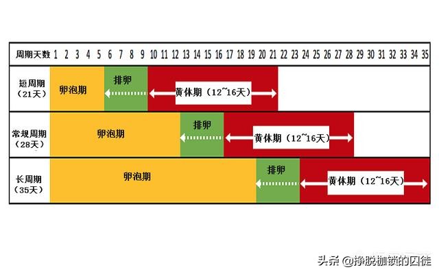 经期结束后第七天怀孕几率高吗,月经后七天是安全期吗会怀孕吗