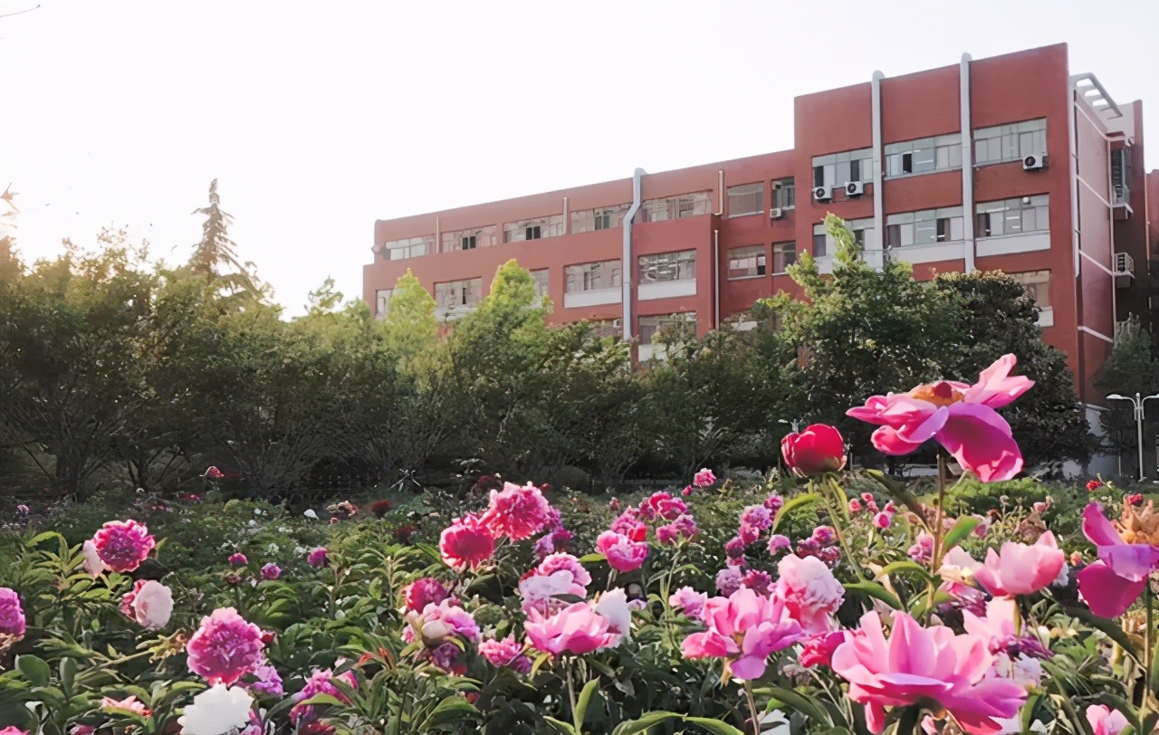 想读计算机专业，山东这所大学很不错！存在感低，但是就业是真好
