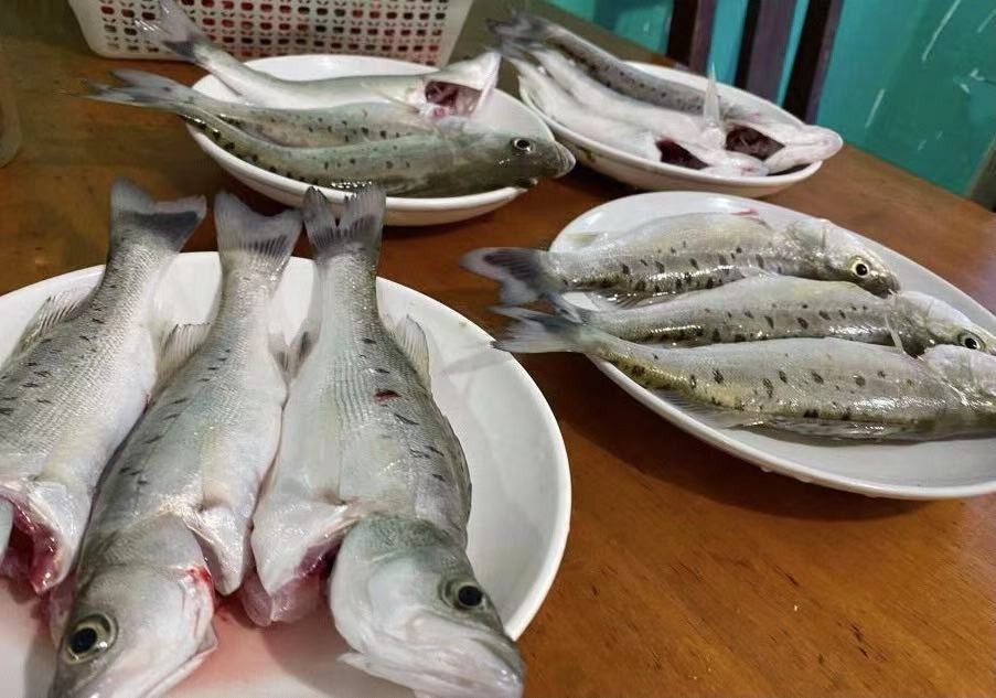 杭州老字号打卡店,陈晓卿杭州