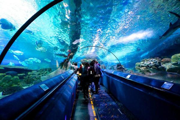 北京工体富国海底世界周一营业,北京工体富国海底世界旅馆