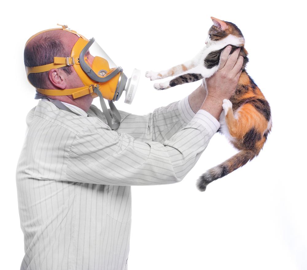 对猫咪过敏有什么可以解决的吗,对猫咪过敏怎么办最有效