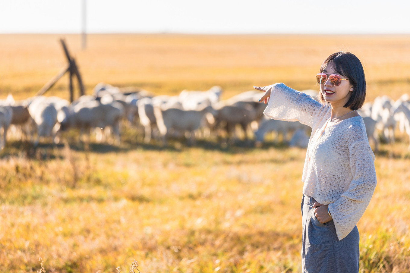 哈尔滨满洲里自驾路线,哈尔滨满洲里自驾视频