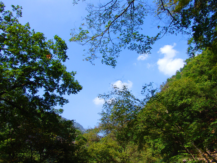山西绵山自驾游攻略图,山西绵山旅游攻略自驾游