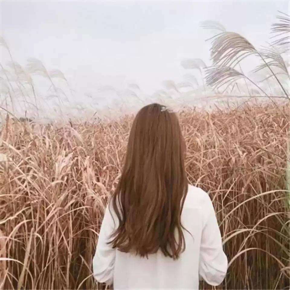 处女座适合去哪里旅行,最适合处女座生活的一个地方