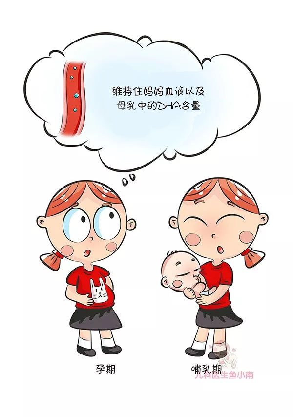 dha能不能放在食物里面宝宝吃,什么食物含有dha有助胎宝宝发育