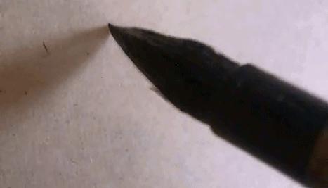 先把基础知识学好,先把基础练好再练技术动作