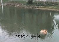 比催婚更可怕的是父母不催了,比催婚更可怕的是催生二胎