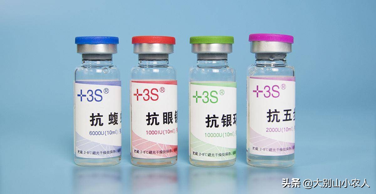 真•全村吃饭蛇：脾气温顺但毒素却能深入骨髓，就是被咬后要睡觉