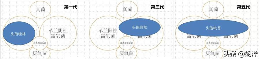 头孢霉素和这些联用效果下降不说，有些还会造成严重副反应