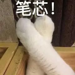 快到碗里来！带你了解舌尖上的湖北交通职业技术学院