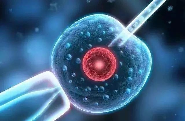 多囊卵巢综合征怀孕最快的方法,多囊卵巢怎么治疗怀孕最快