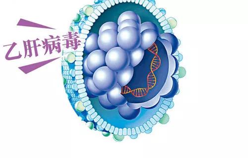 乙肝防治指南最新版,伴侣有乙肝如何防治