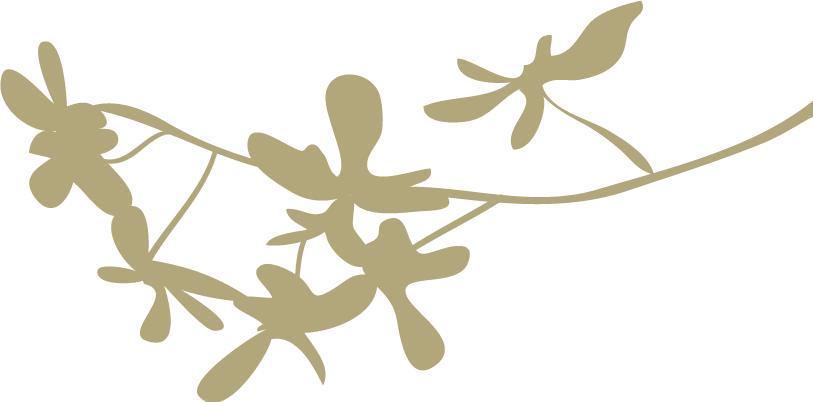 「预告」电波里的好医生：月经病的中医诊治